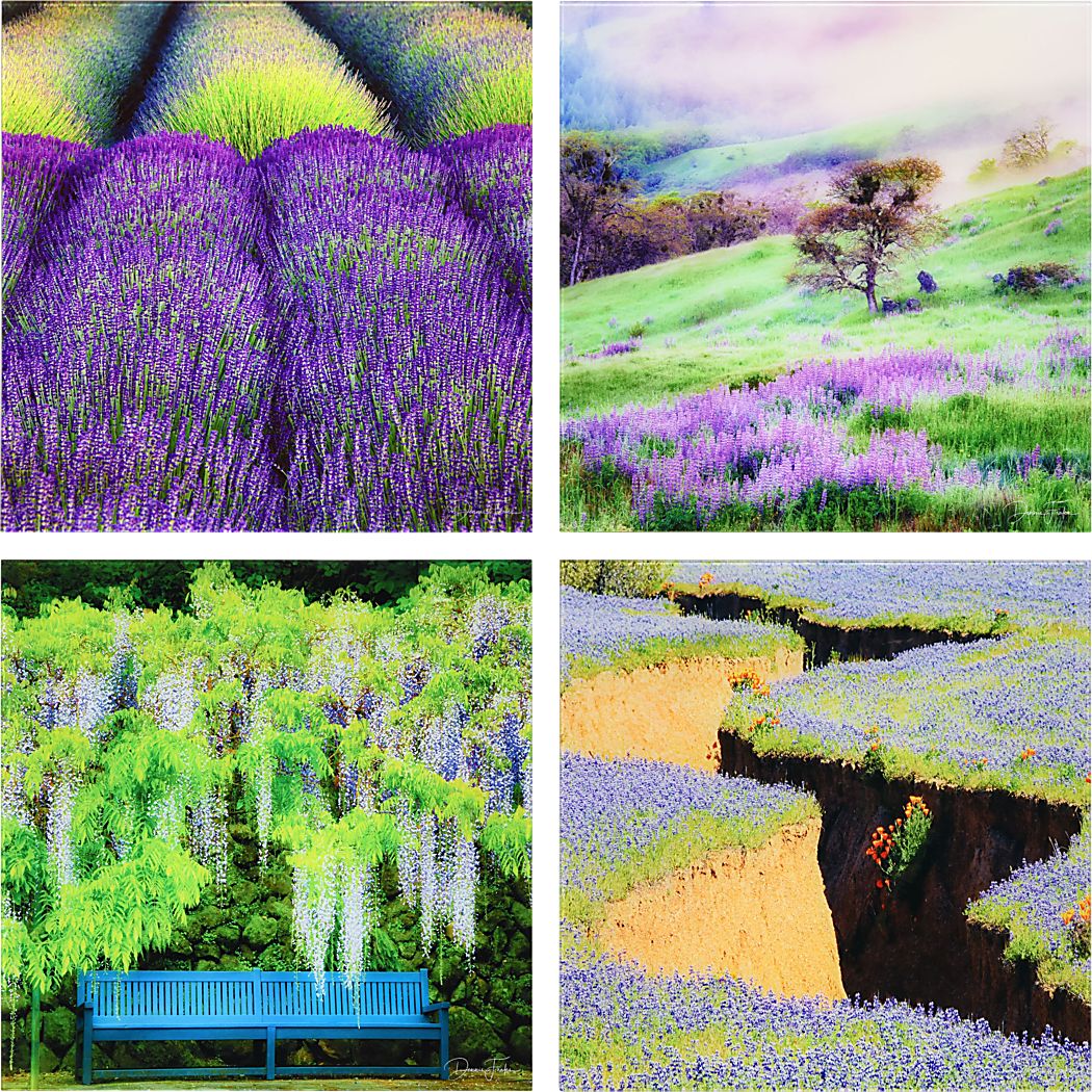 Patzke II Multi Artwork