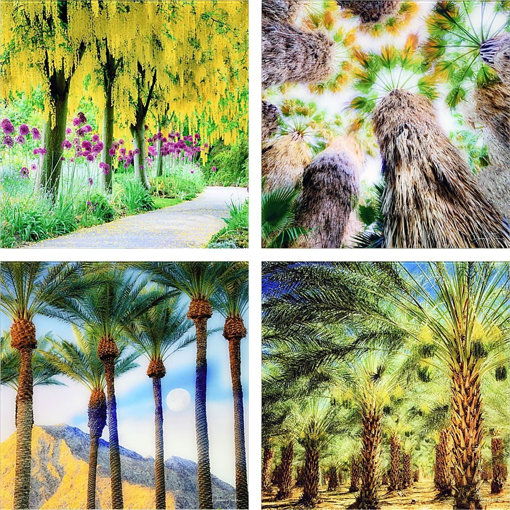 Patzke III Multi Artwork