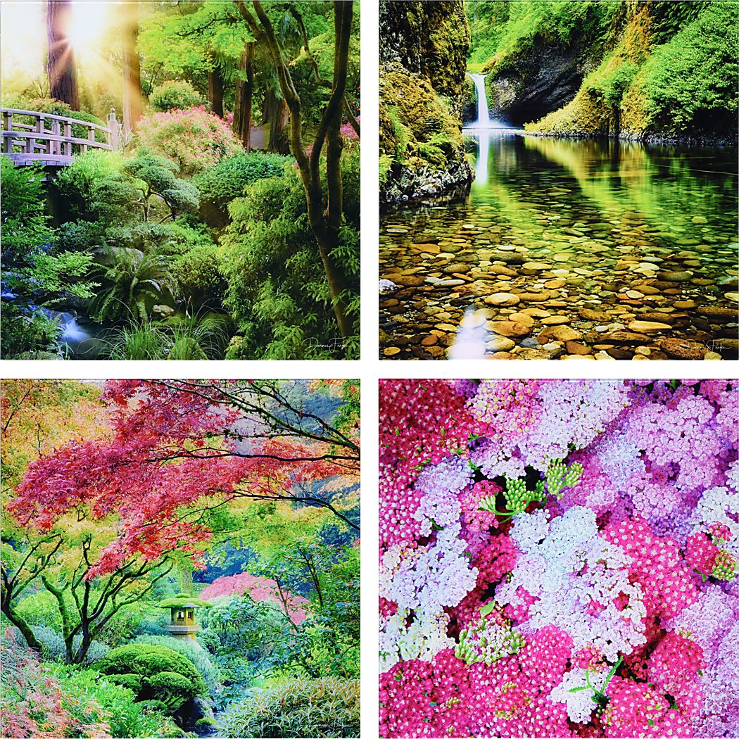 Patzke Multi Artwork