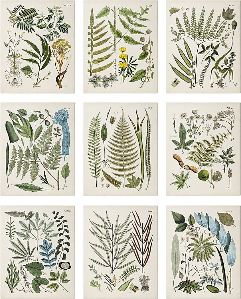 Peaceful Floral Set of 9 Artwork