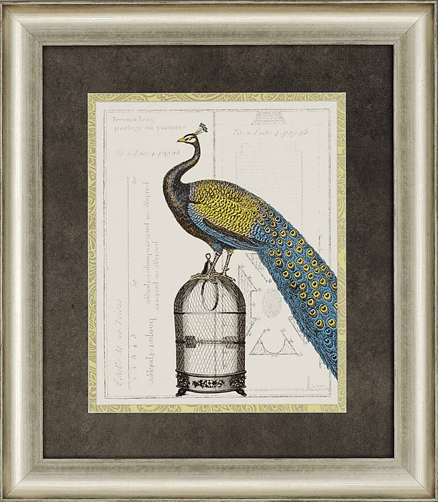 Peacock Birdcage II Artwork - Thumbnail - Image 1