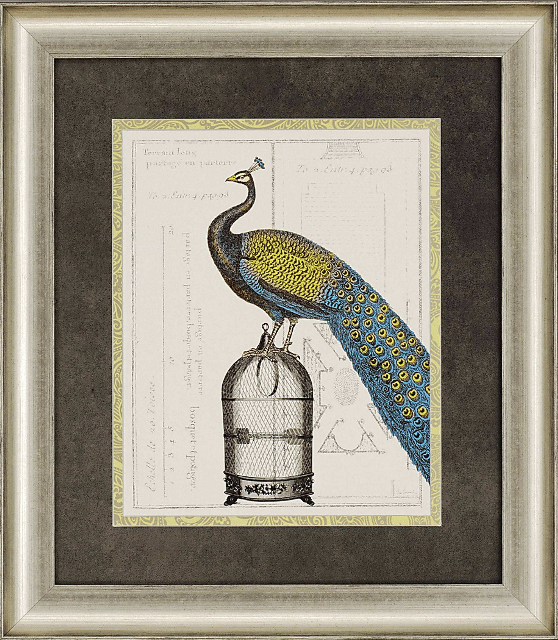 Peacock Birdcage II Artwork - Image 1