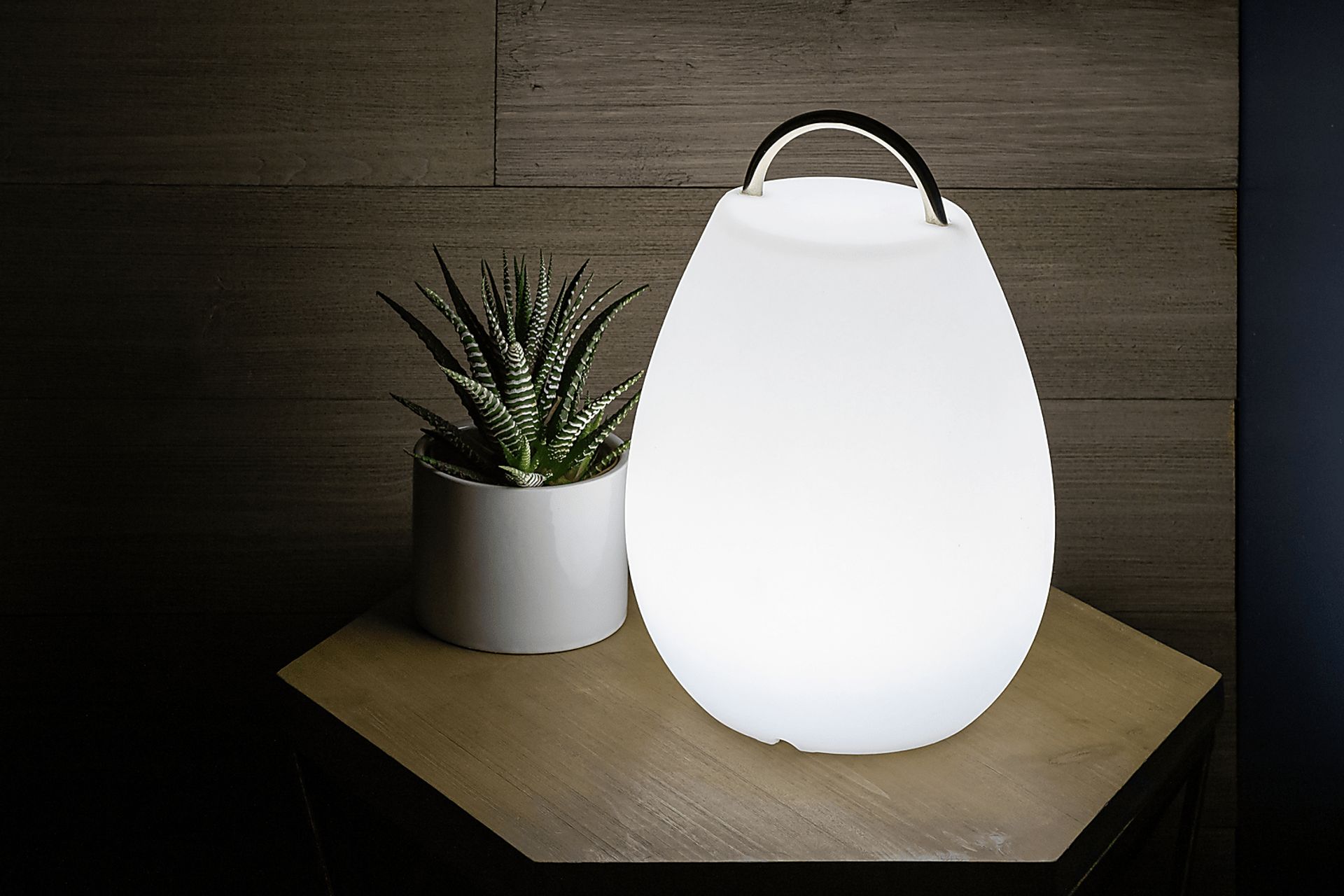 Pedro Cove Indoor/Outdoor White Rechargeable Lantern - Image 4