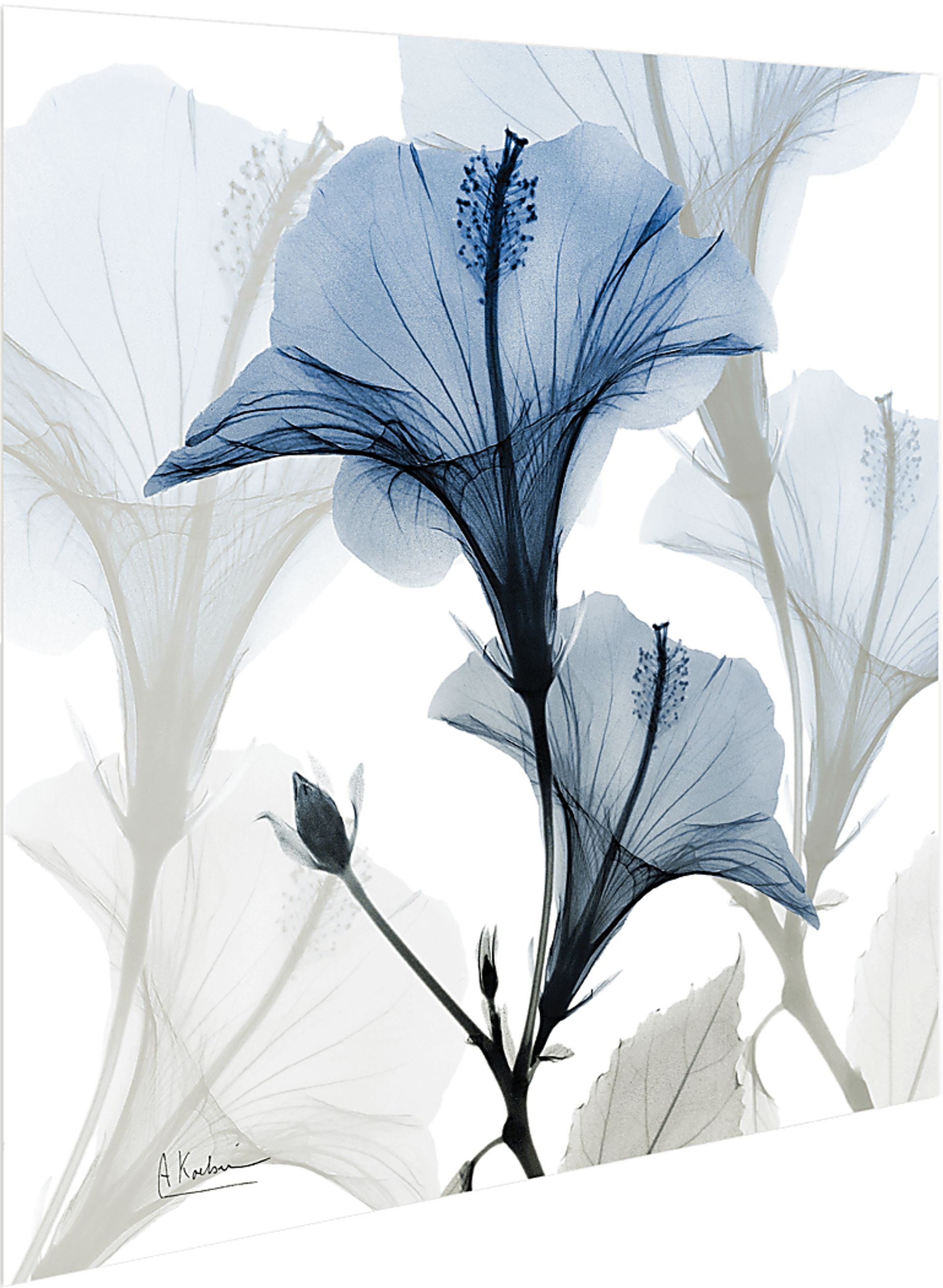 Phenakite Blue Artwork - Image 5