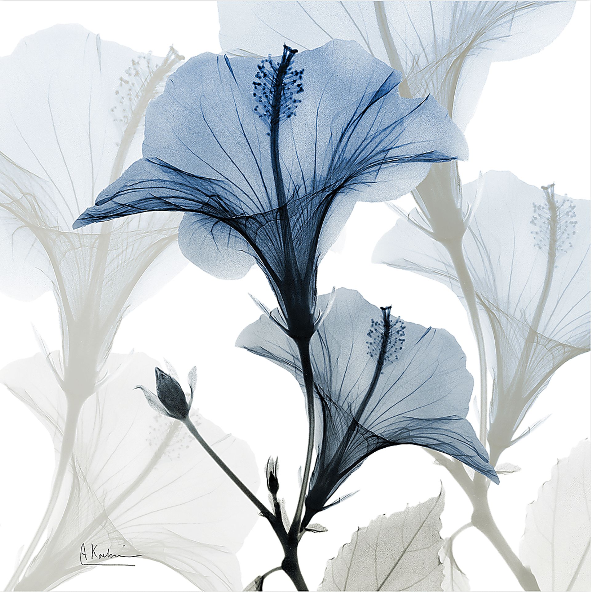 Phenakite Blue Artwork - Image 1