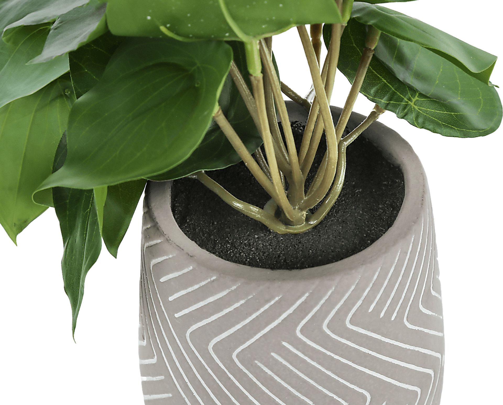 Phillyrea Green Artificial Alocasia Plant, Set of 2 - Image 3