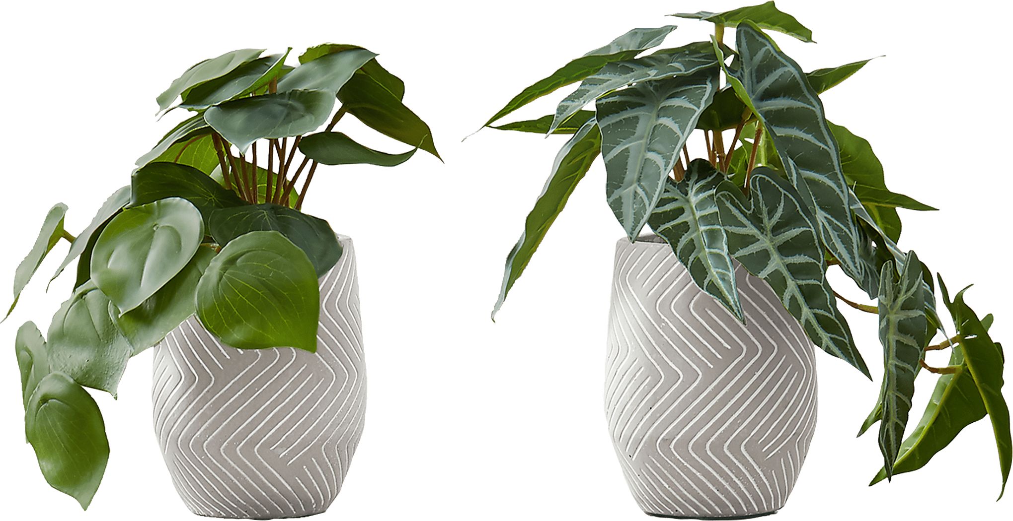 Phillyrea Green Artificial Alocasia Plant, Set of 2