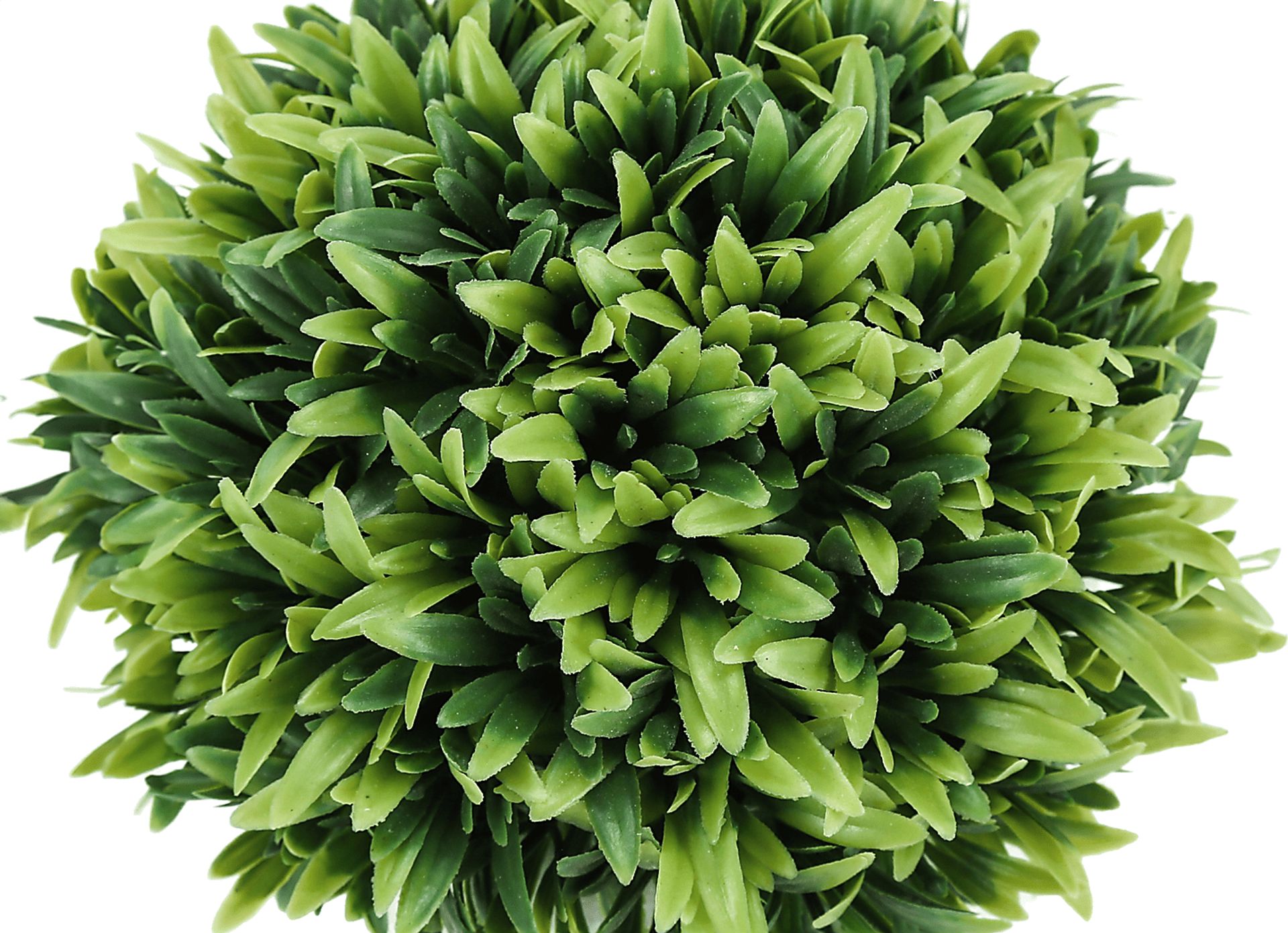 Phister Green Artificial Succulent Plant, Set of 3 - Image 3