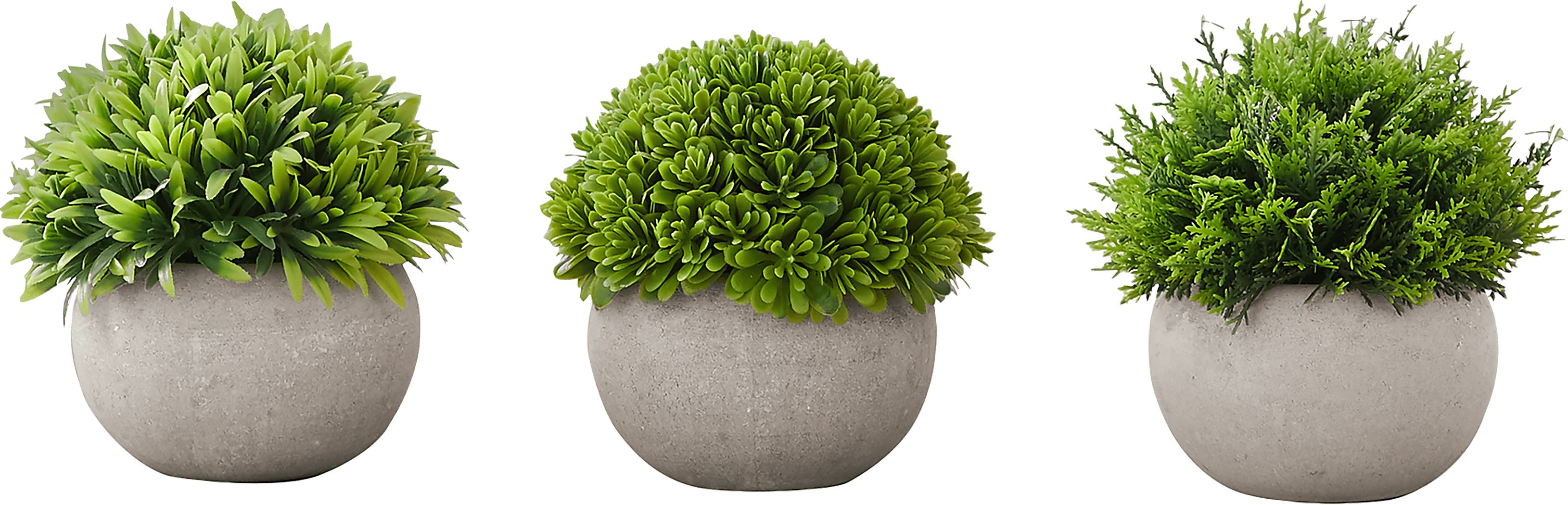 Phister Green Artificial Succulent Plant, Set of 3