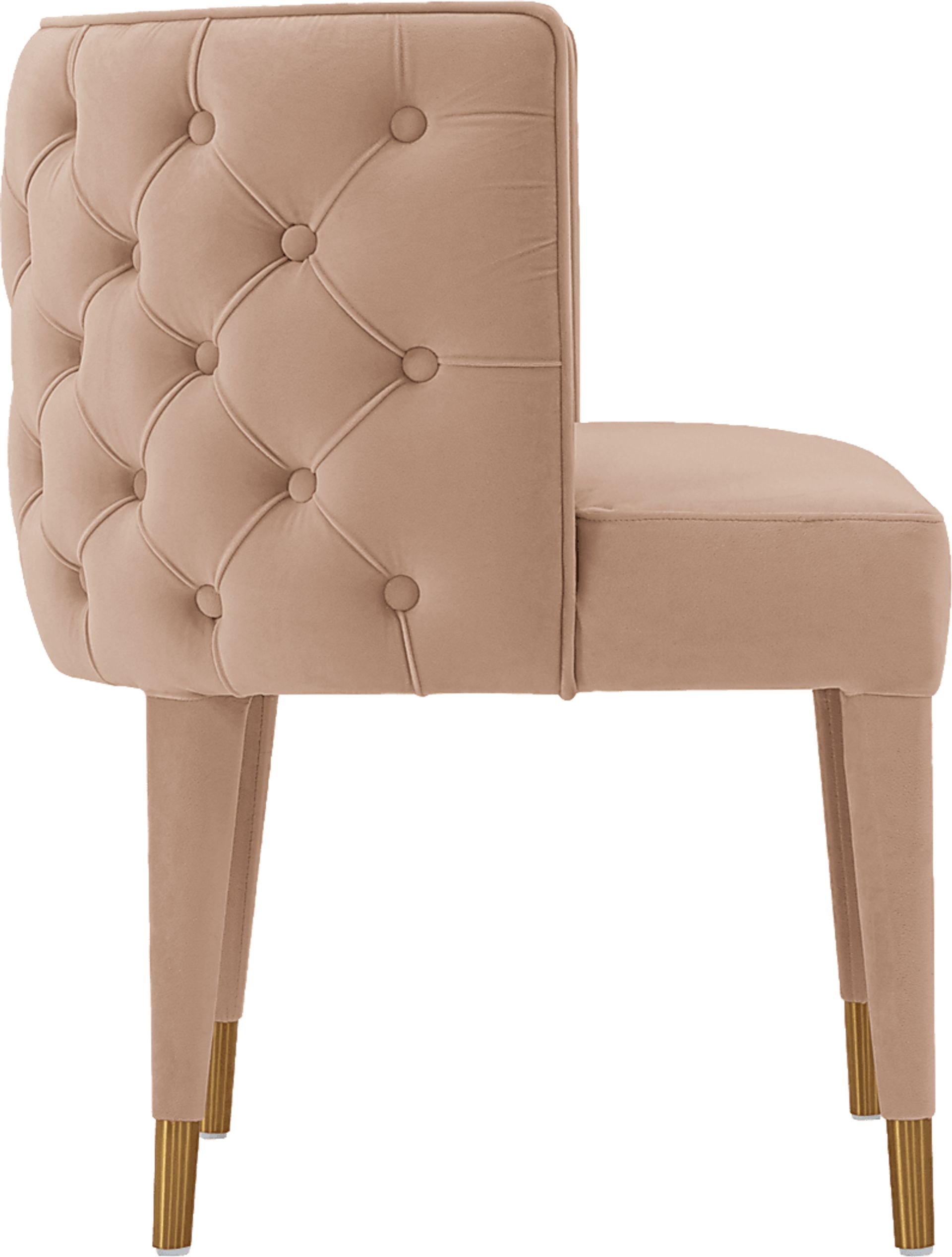 Pickeral Nude Side Chair - Image 8