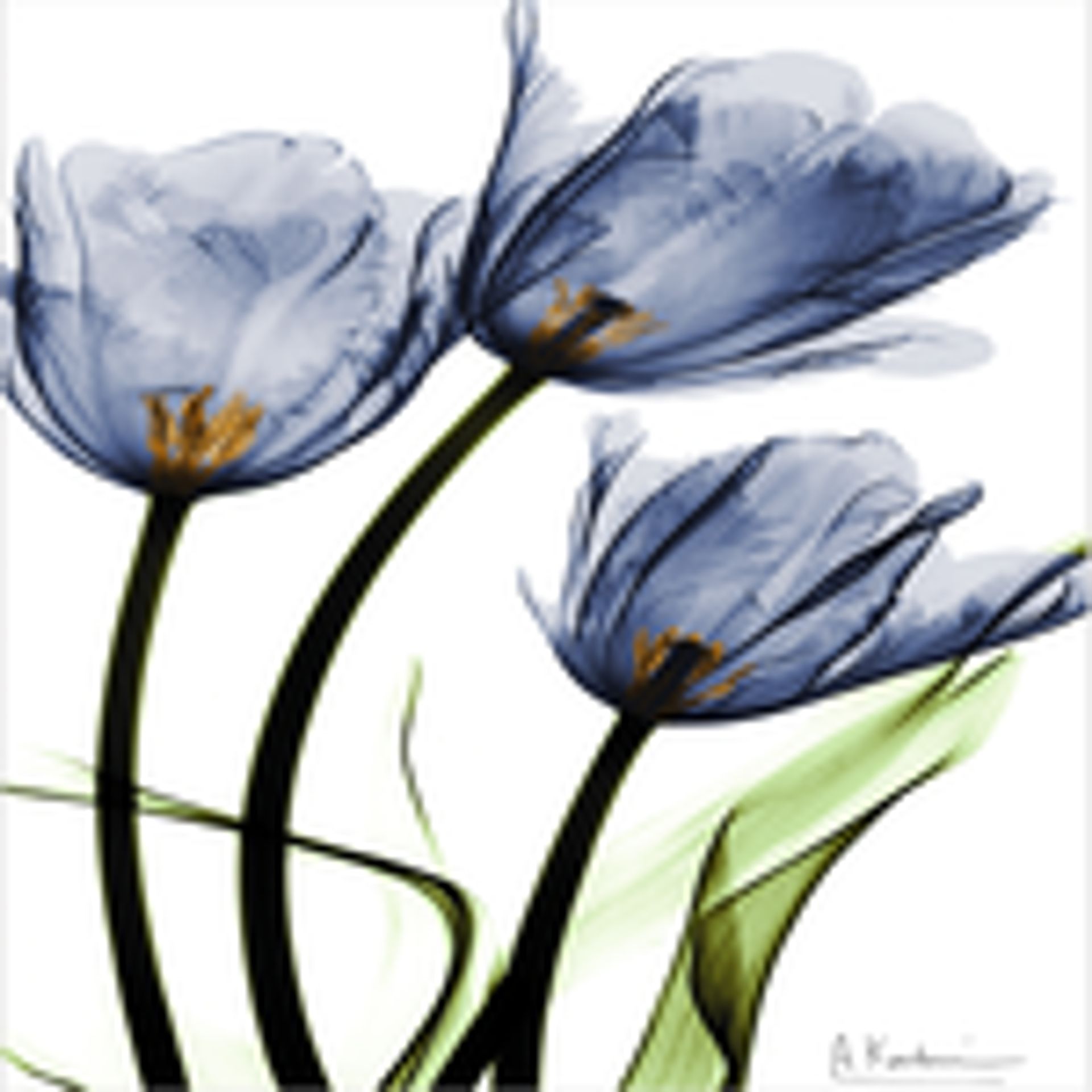 blue