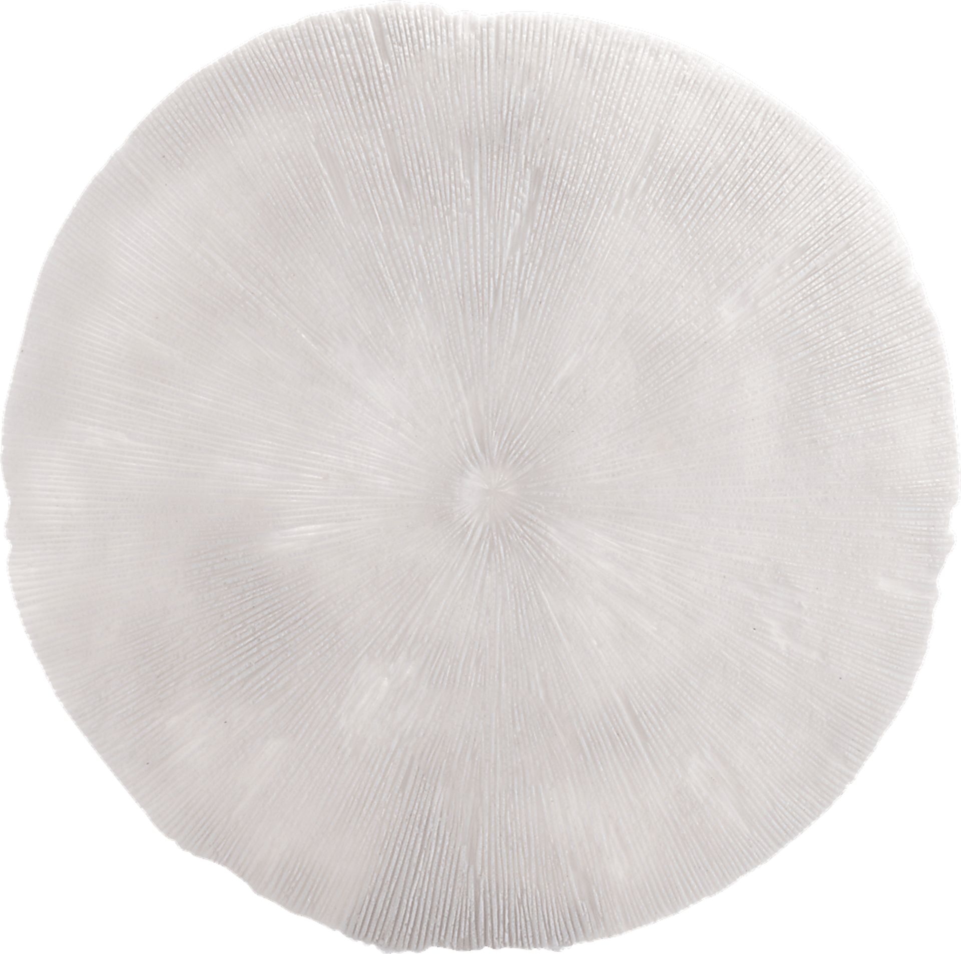 Pieris White Medium Outdoor Round Coral Plaque - Image 2