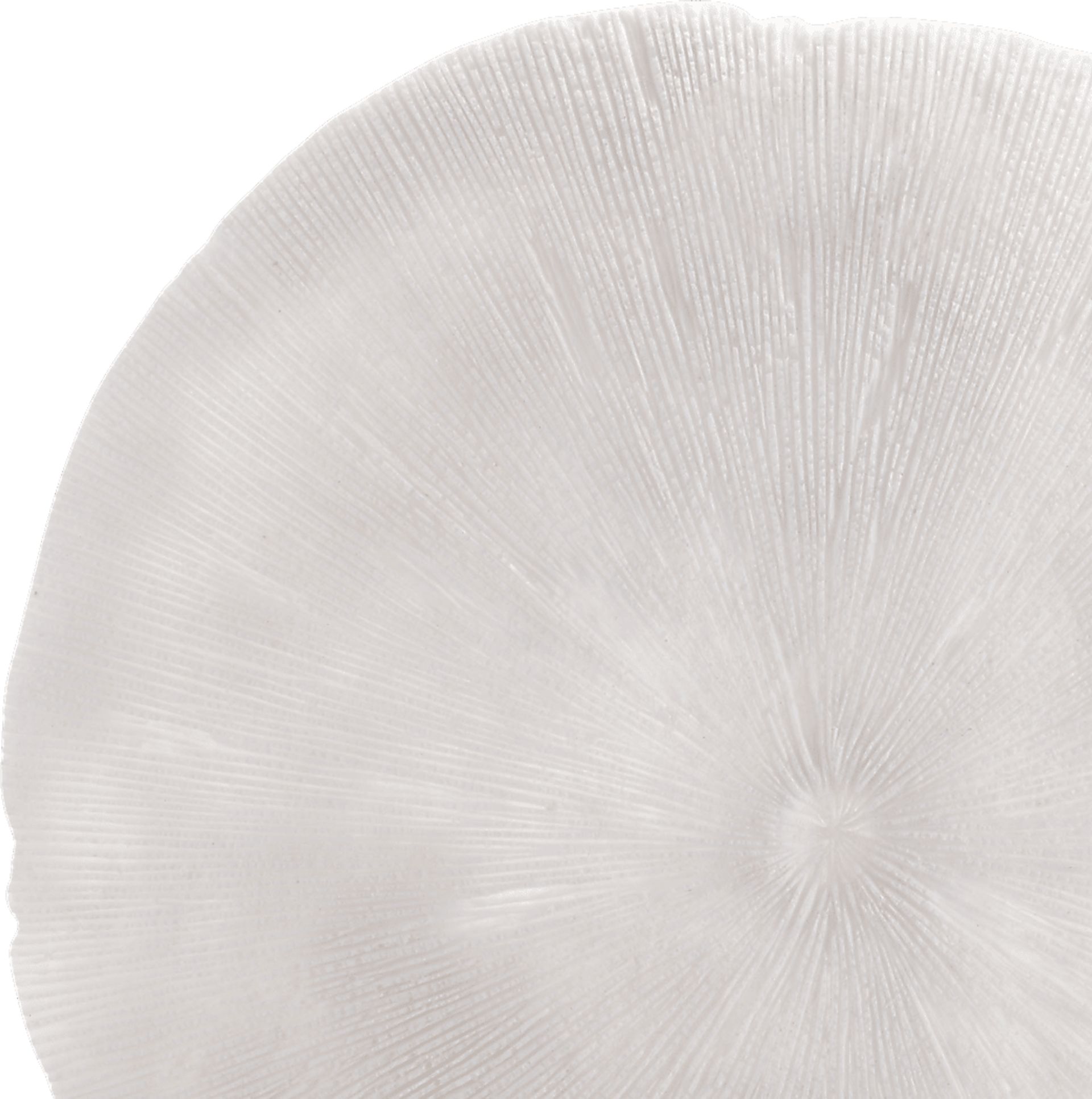 Pieris White Medium Outdoor Round Coral Plaque - Image 3
