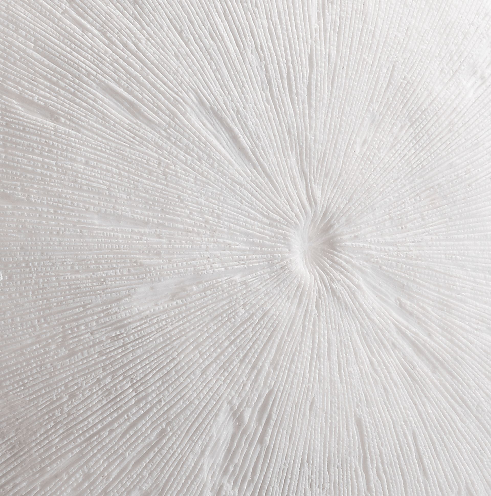 Pieris White Medium Outdoor Round Coral Plaque - Image 4