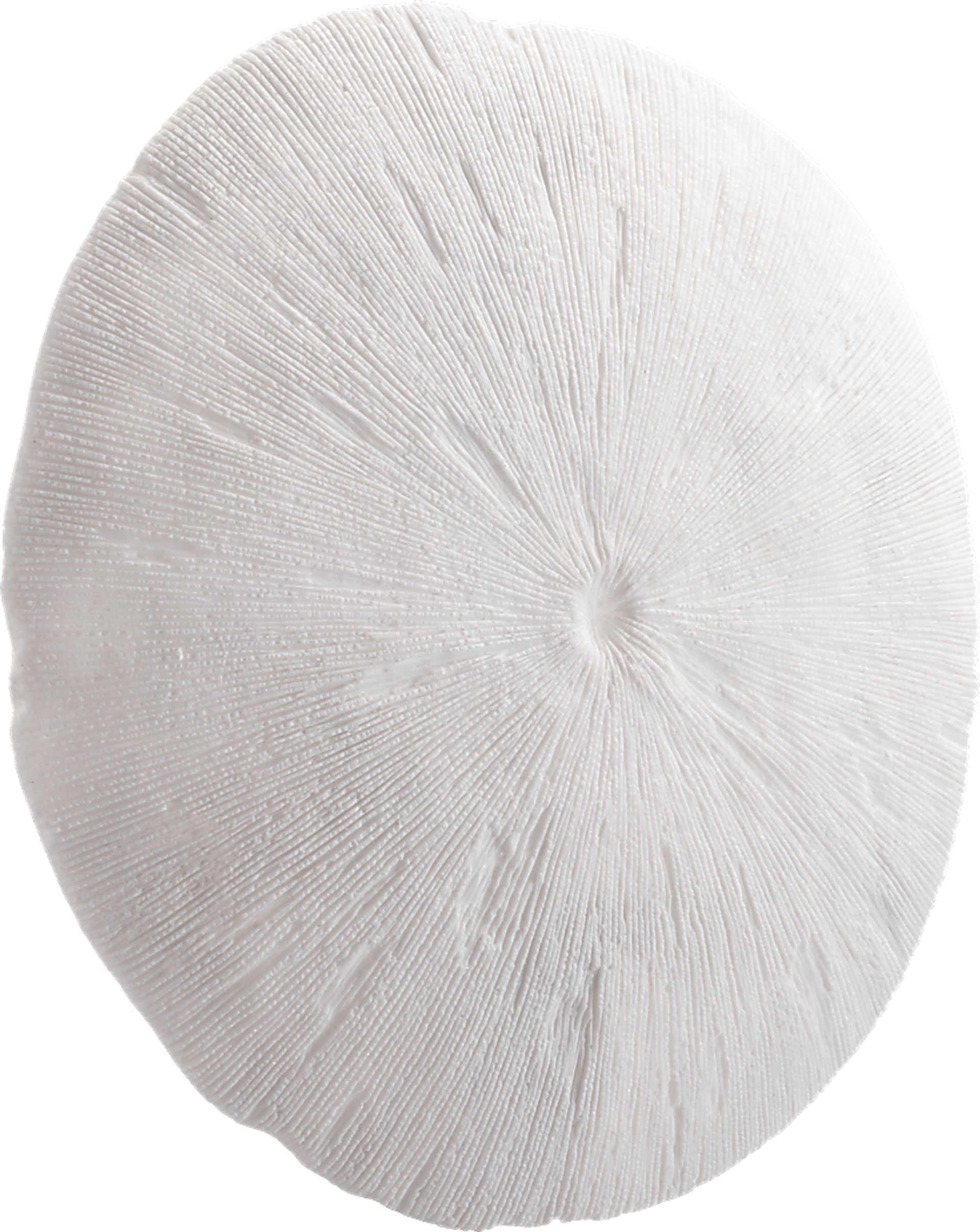 Pieris White Medium Outdoor Round Coral Plaque - Image 1