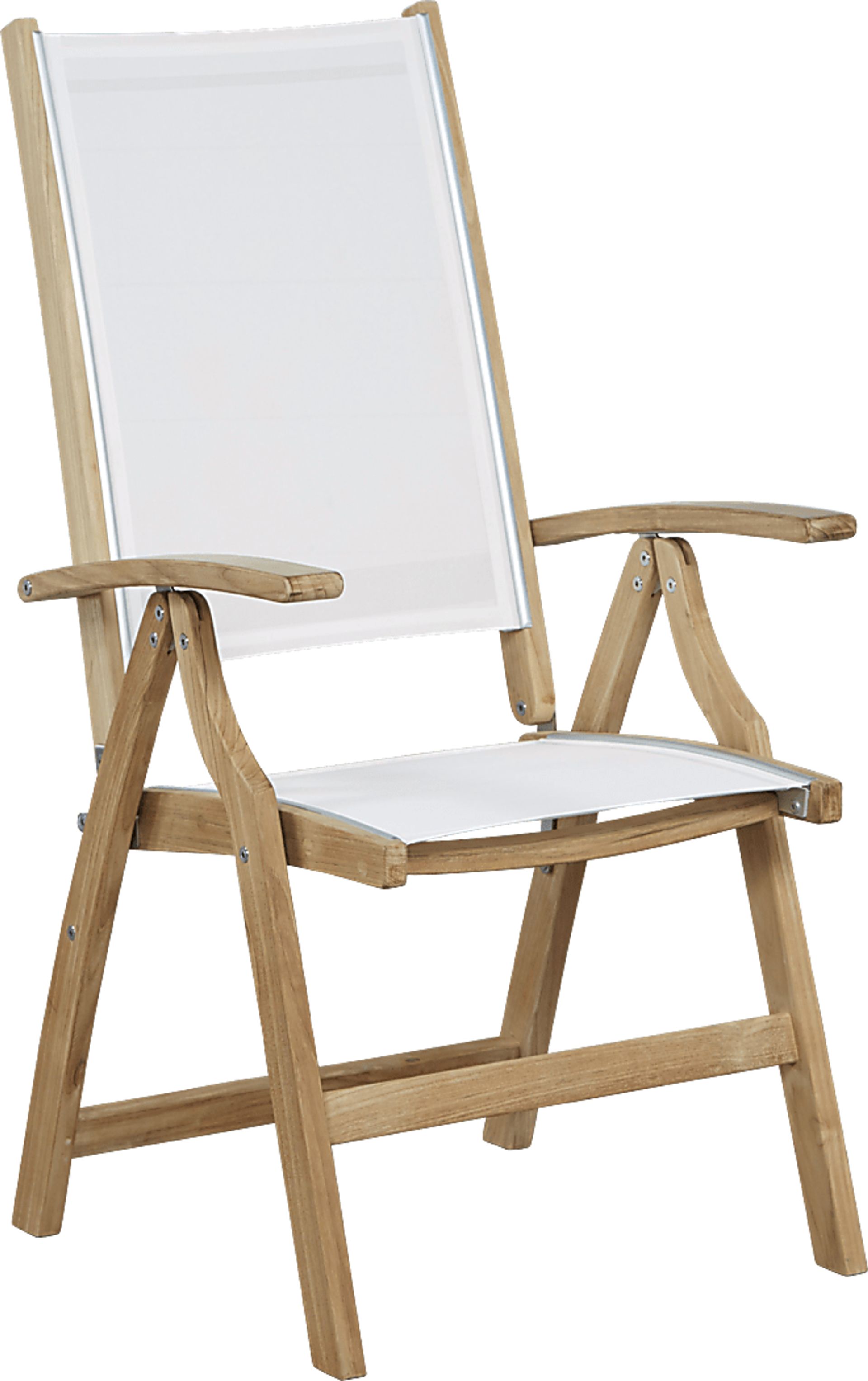Pleasant Bay Teak Tan Outdoor Adjustable Arm Chair - Image 1