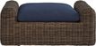 Plume Brown Outdoor Ottoman with Navy Cushion