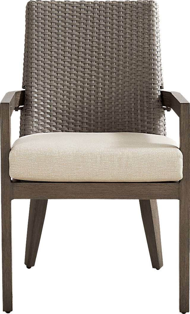 Point Reyes Brown Outdoor Arm Chair - Thumbnail - Image 2