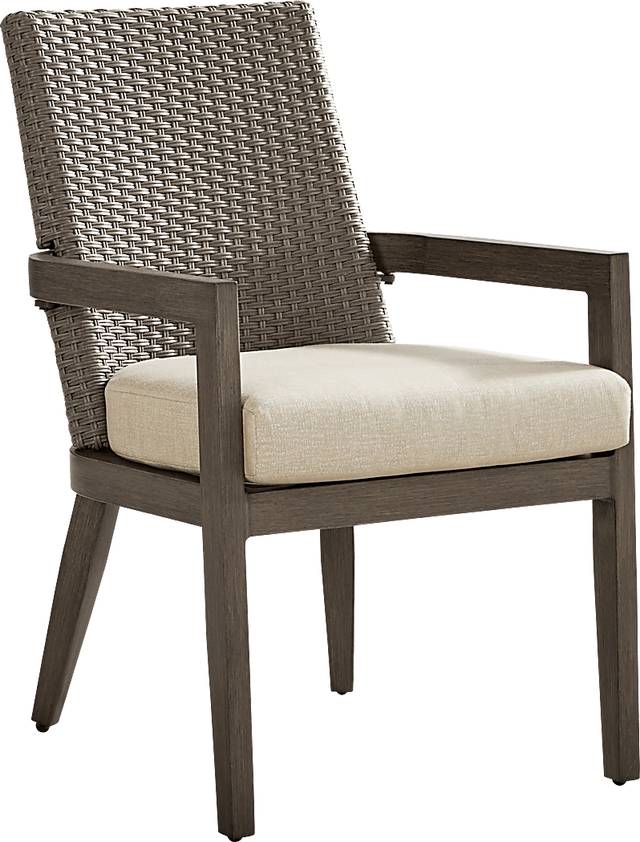Point Reyes Brown Outdoor Arm Chair - Thumbnail - Image 1