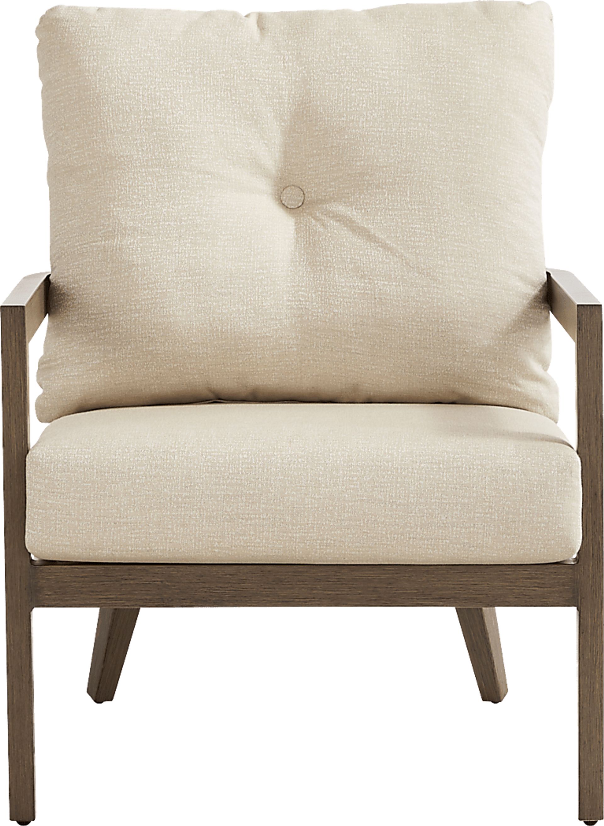 Point Reyes Brown Outdoor Club Chair - Image 2