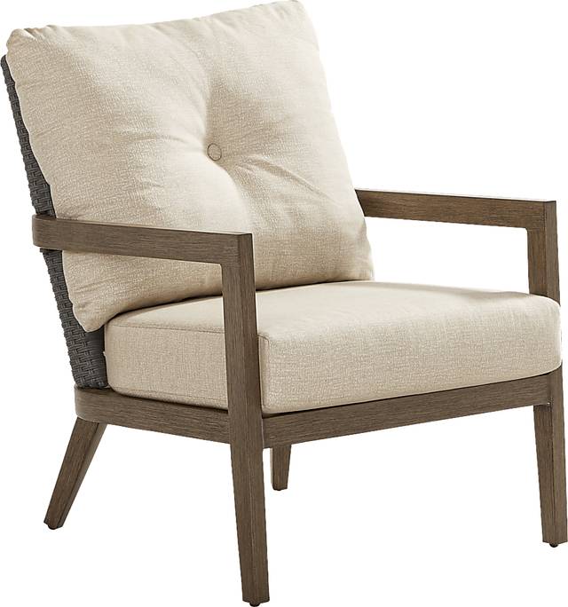 Point Reyes Brown Outdoor Club Chair - Thumbnail - Image 1