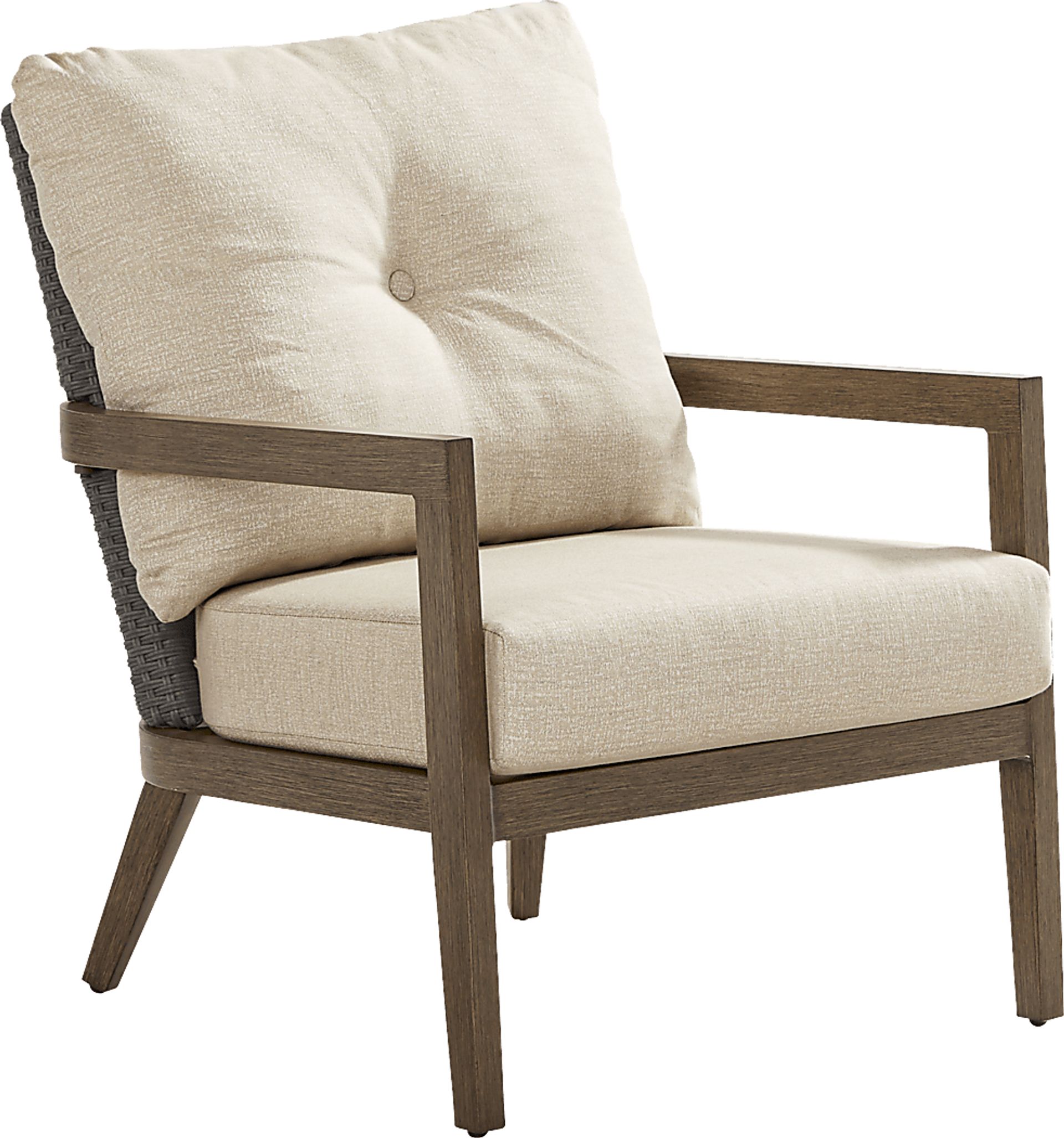 Point Reyes Brown Outdoor Club Chair - Image 1
