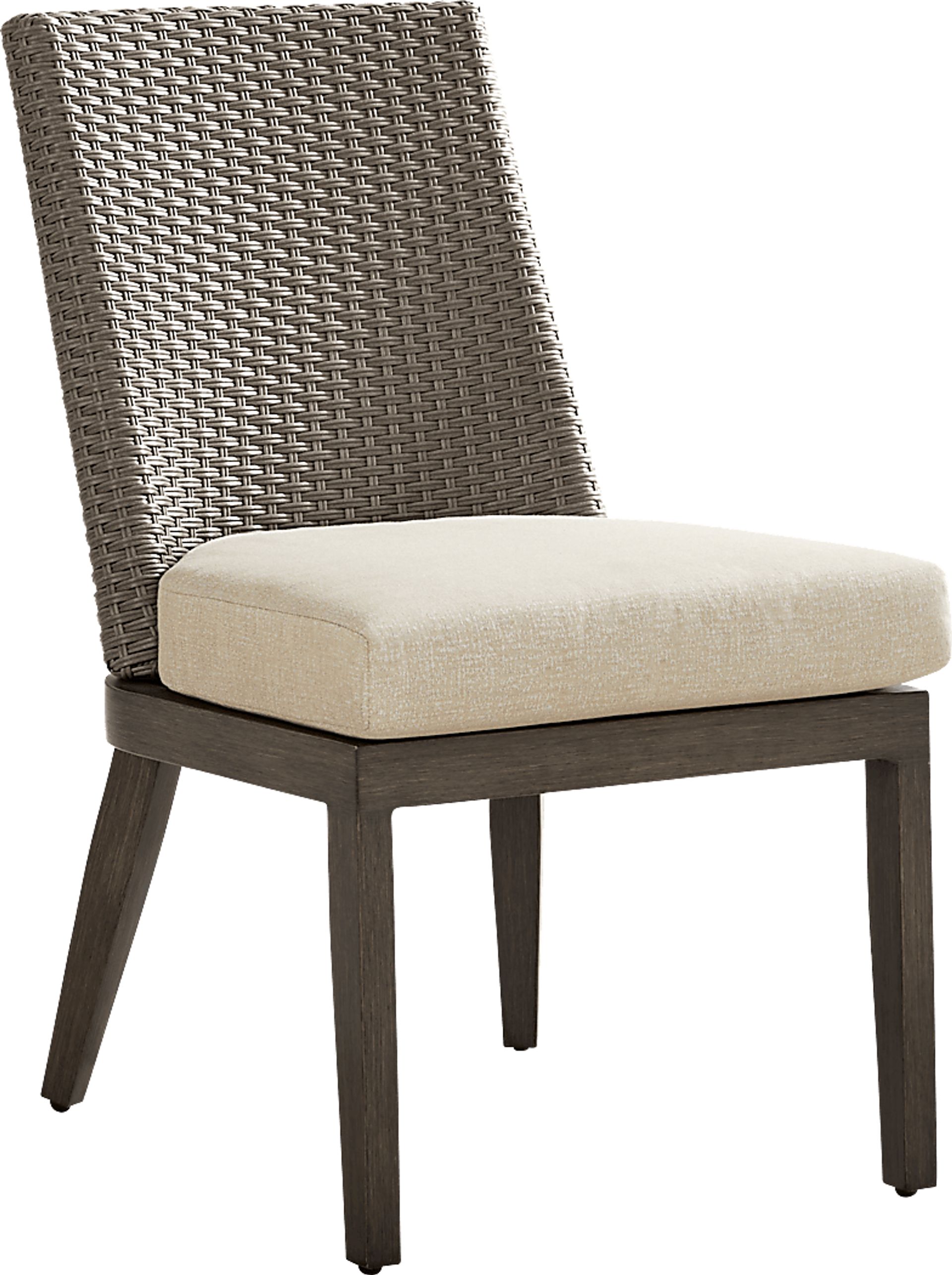 Point Reyes Brown Outdoor Side Chair - Image 1