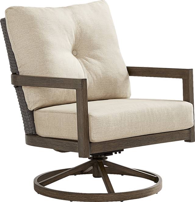 Point Reyes Brown Outdoor Swivel Rocker Chair - Thumbnail - Image 1
