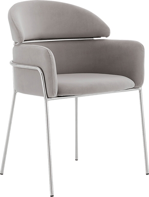 Portalane Gray Dining Chair, Set of 2