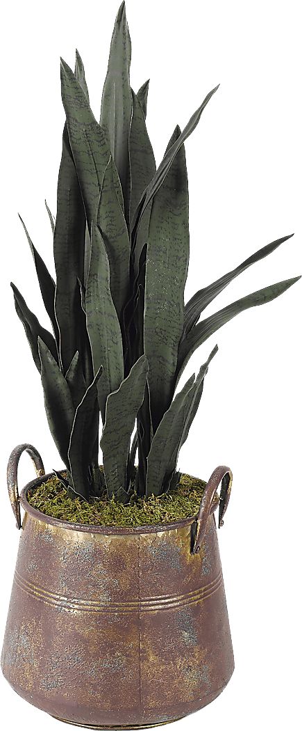 Poust Copper Silk Plant