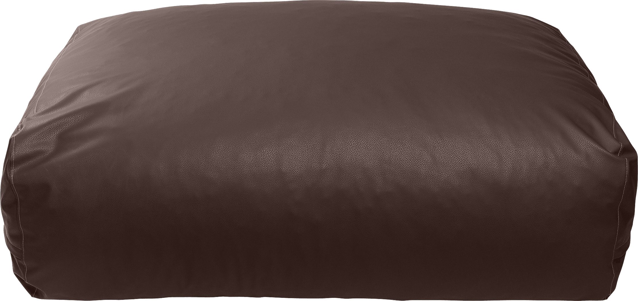 Prasia Brown Large Bean Bag Chair