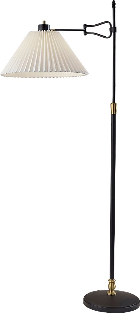 Proctor Vista Black Floor Lamp