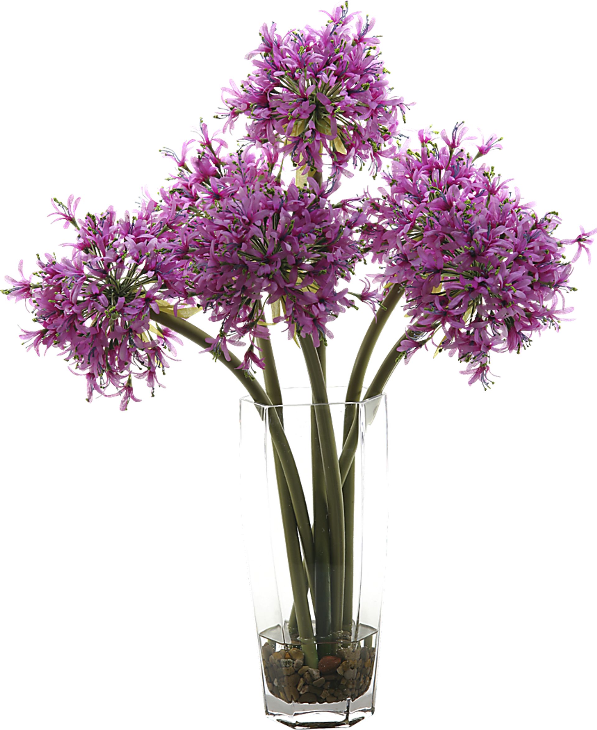 Purple Starfire Alliums in Glass Vase - Image 1