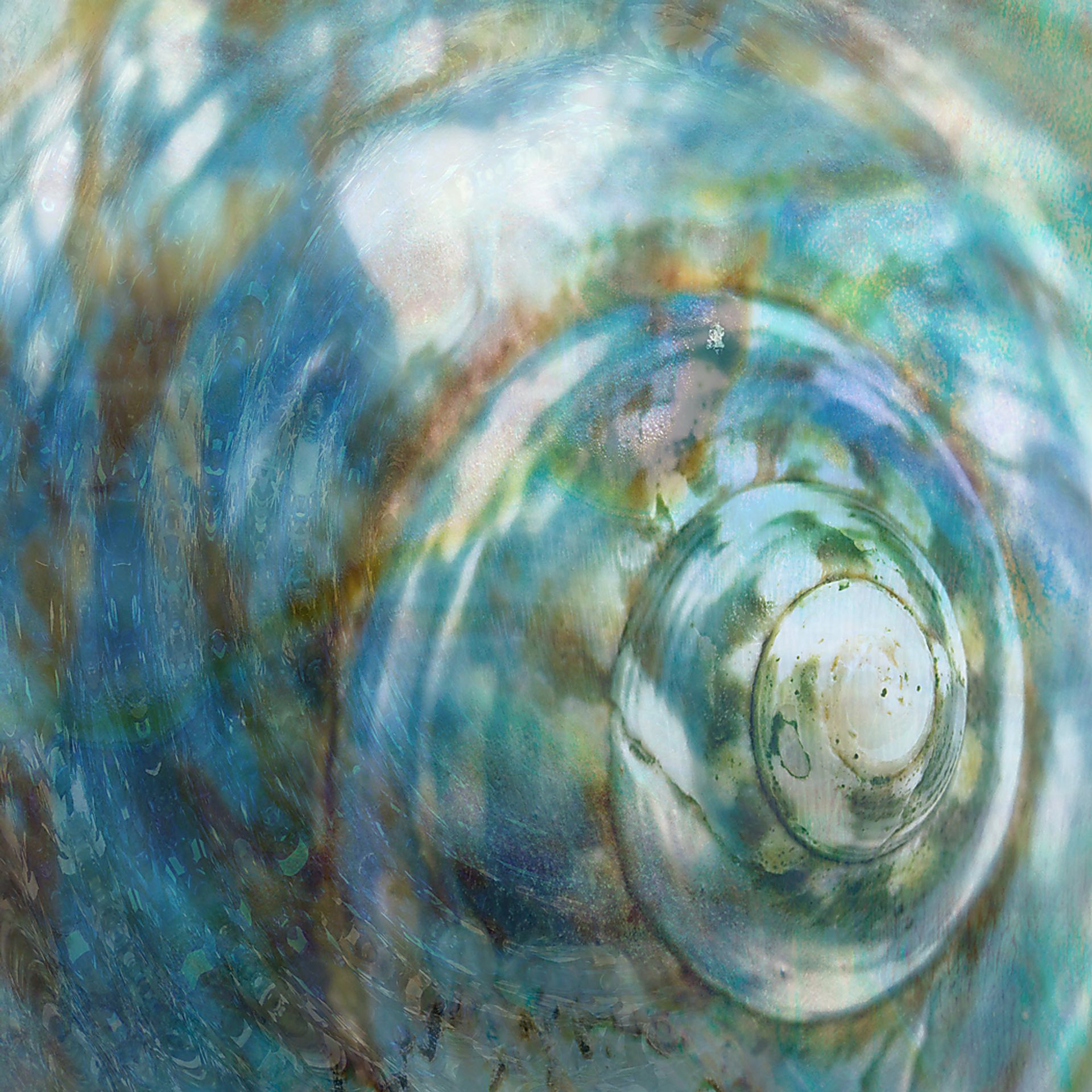 Radiant Shell Blue Artwork - Image 1