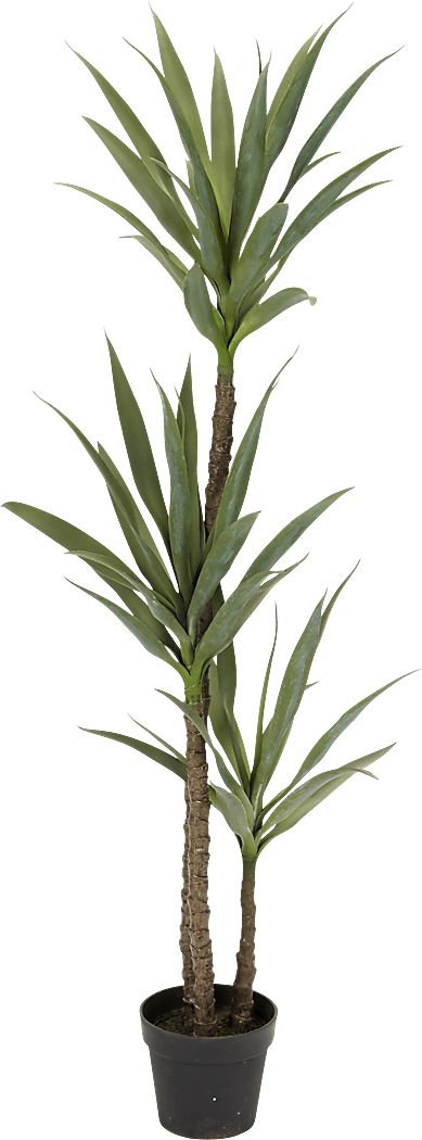 Raena Green Dracaena Silk Tree
