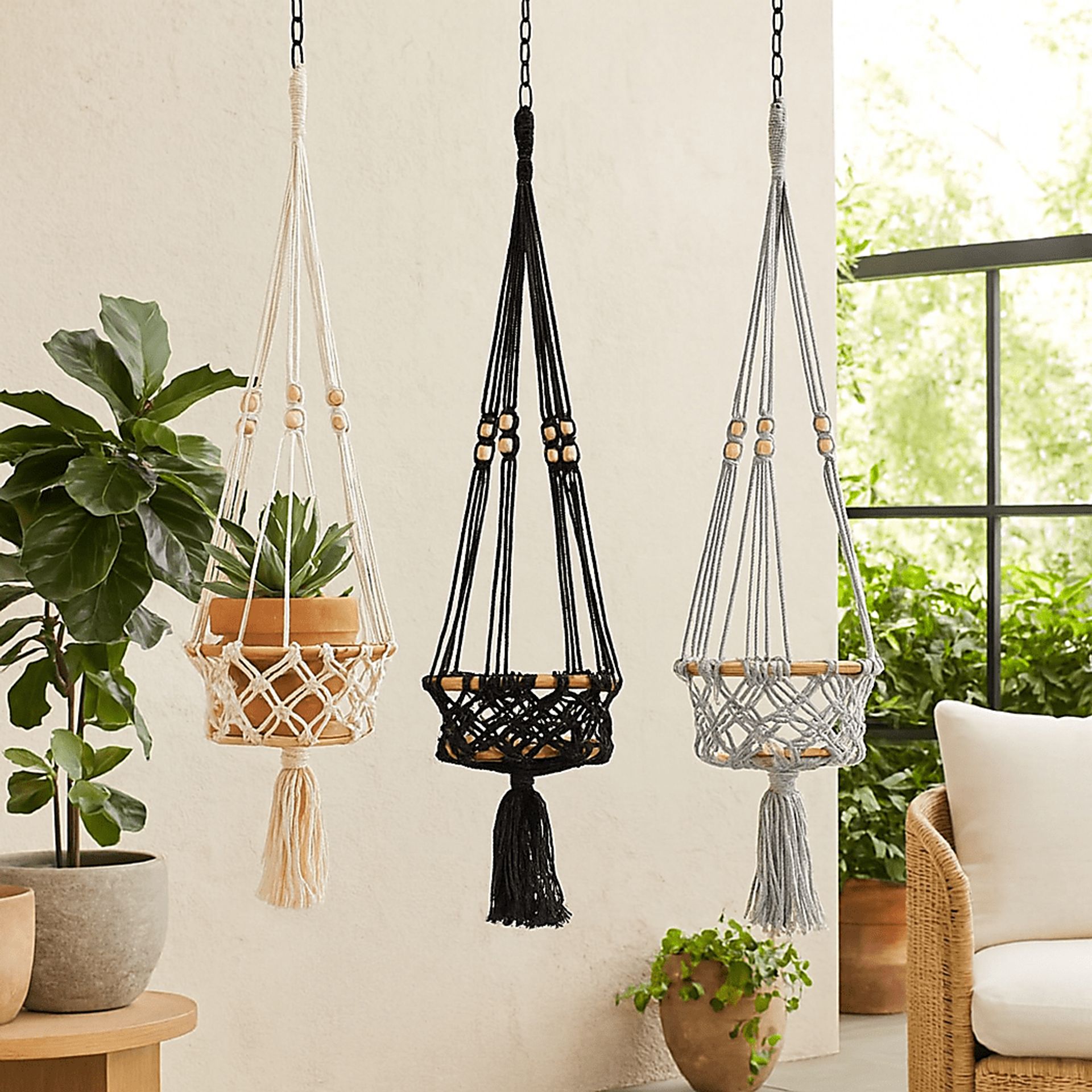 Rasen Multi Indoor/Outdoor Wall Planter - Image 3