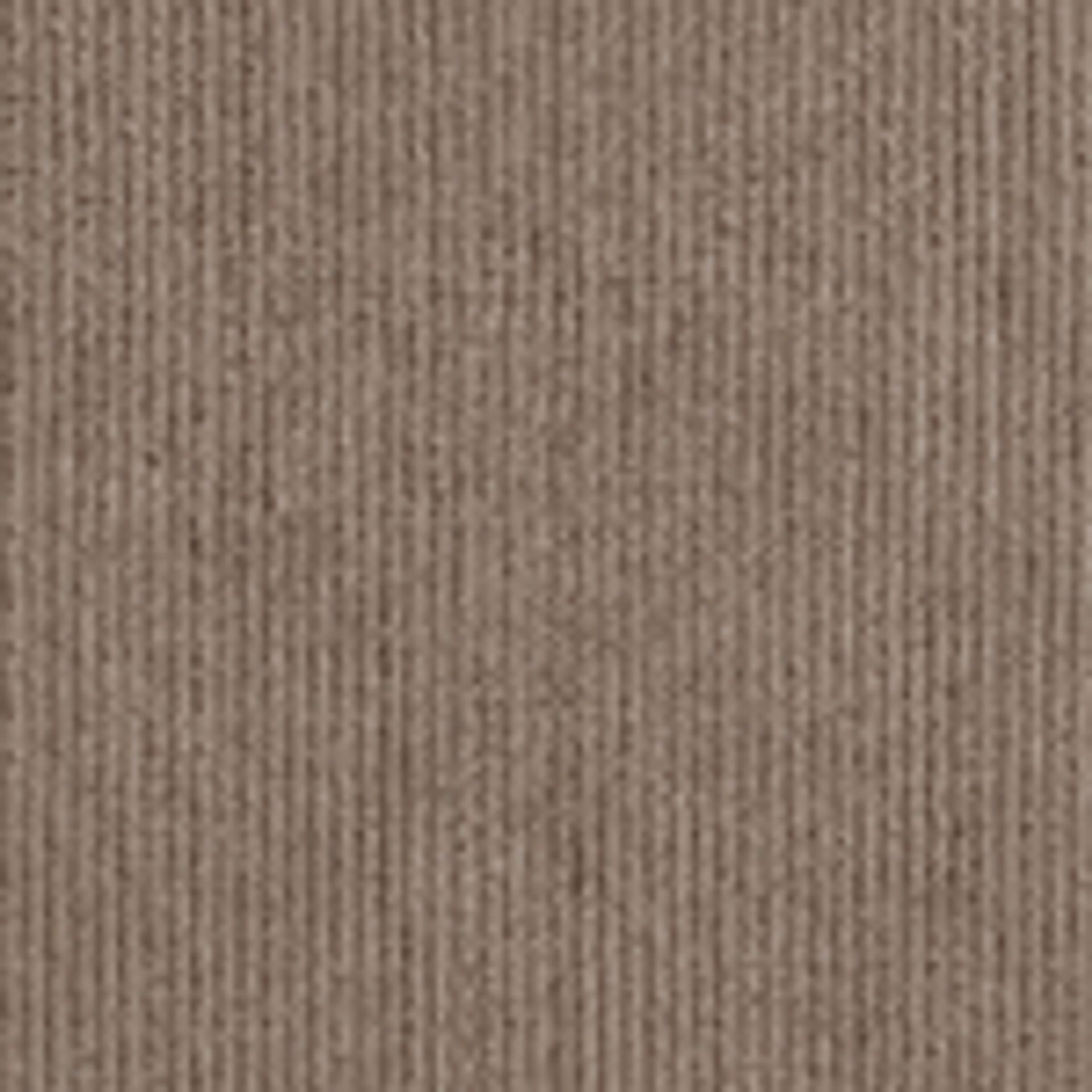 Cocoa