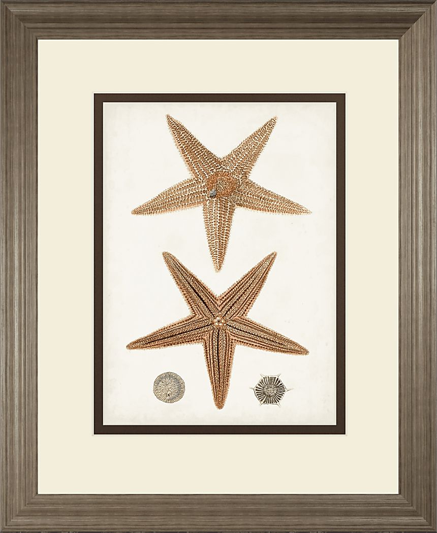 Rempart Brown Framed Wall Art