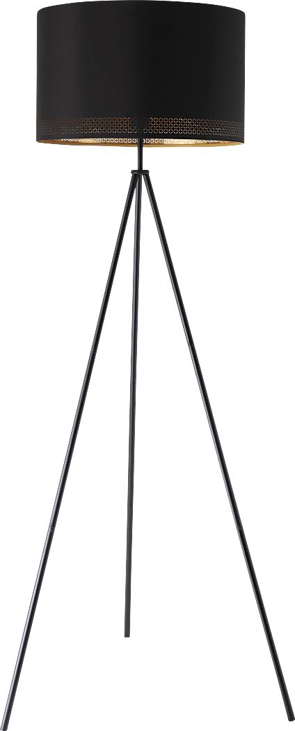Renfrew Lane Black Floor Lamp
