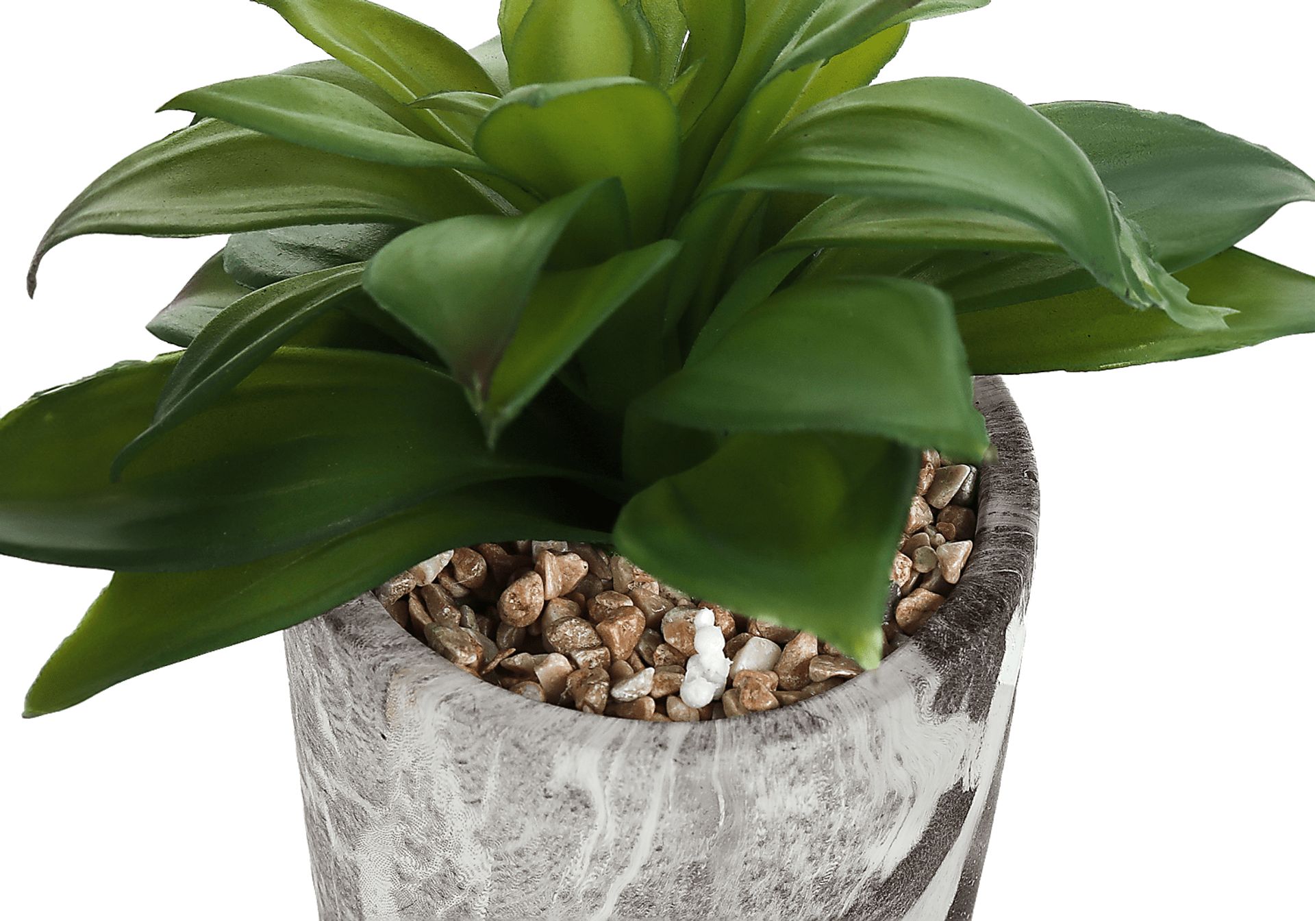 Reordan Green Artificial Succulent Plant, Set of 2 - Image 4