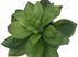Reordan Green Artificial Succulent Plant, Set of 2