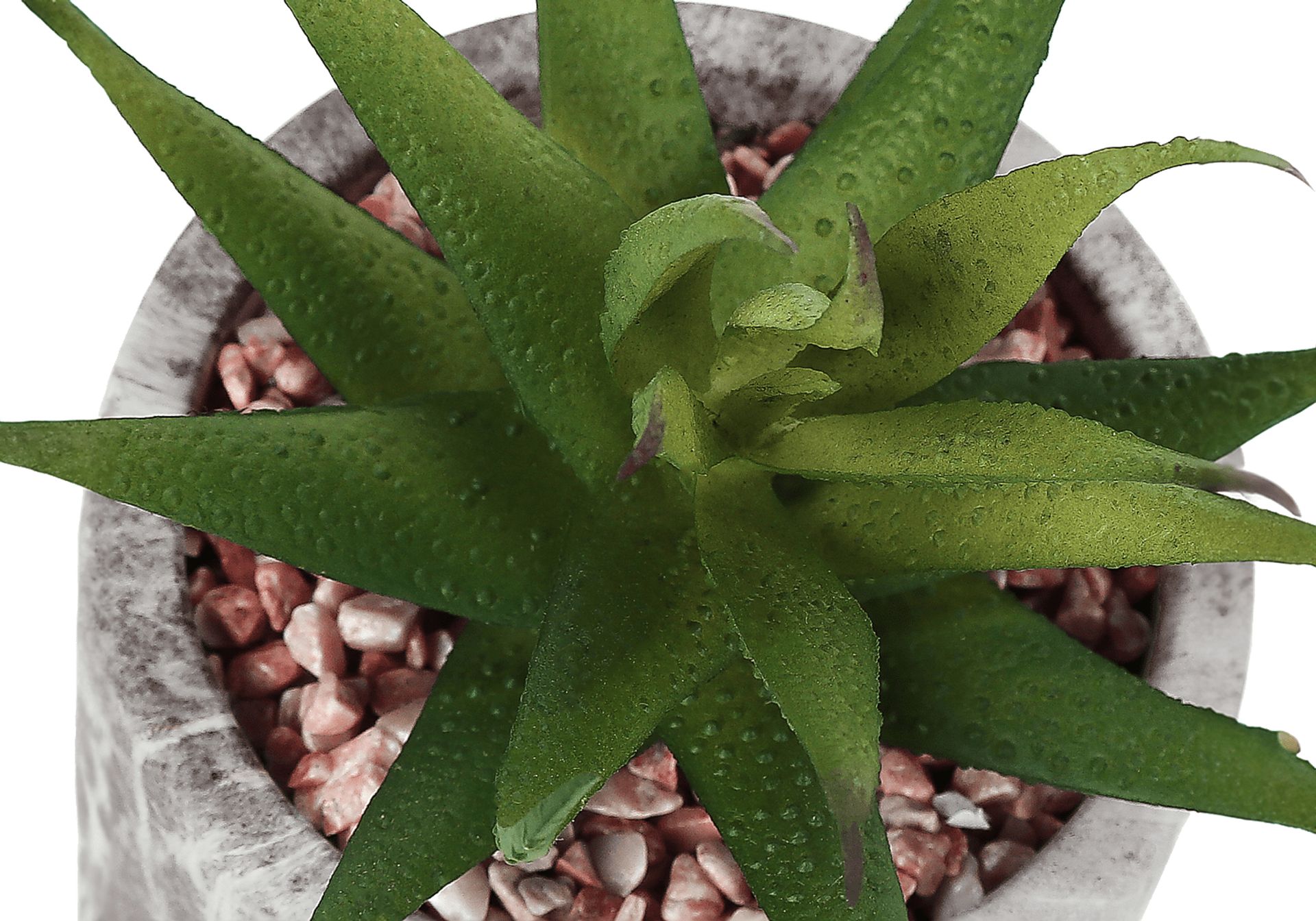 Reordan Green Artificial Succulent Plant, Set of 2 - Image 6