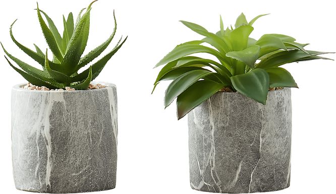 Reordan Green Artificial Succulent Plant, Set of 2
