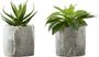 Reordan Green Artificial Succulent Plant, Set of 2