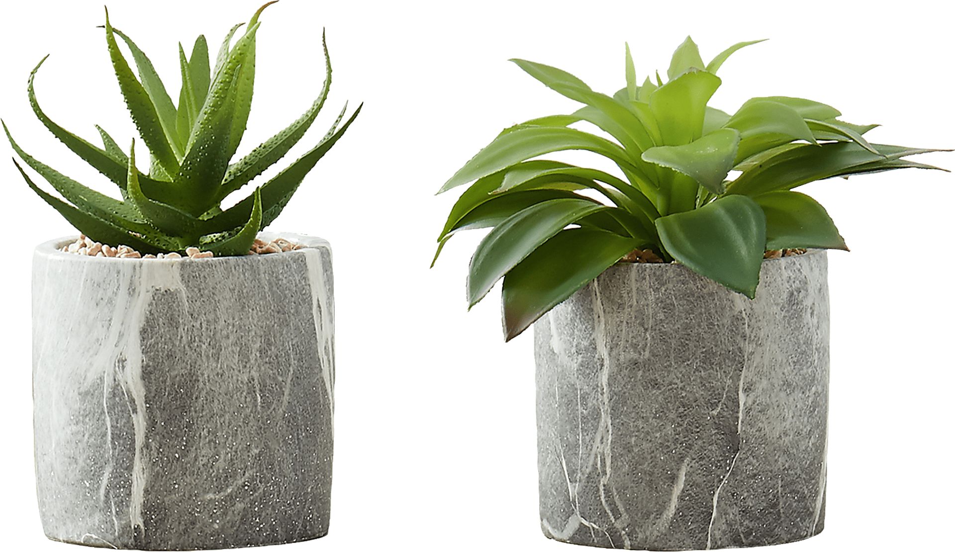 Reordan Green Artificial Succulent Plant, Set of 2 - Image 1