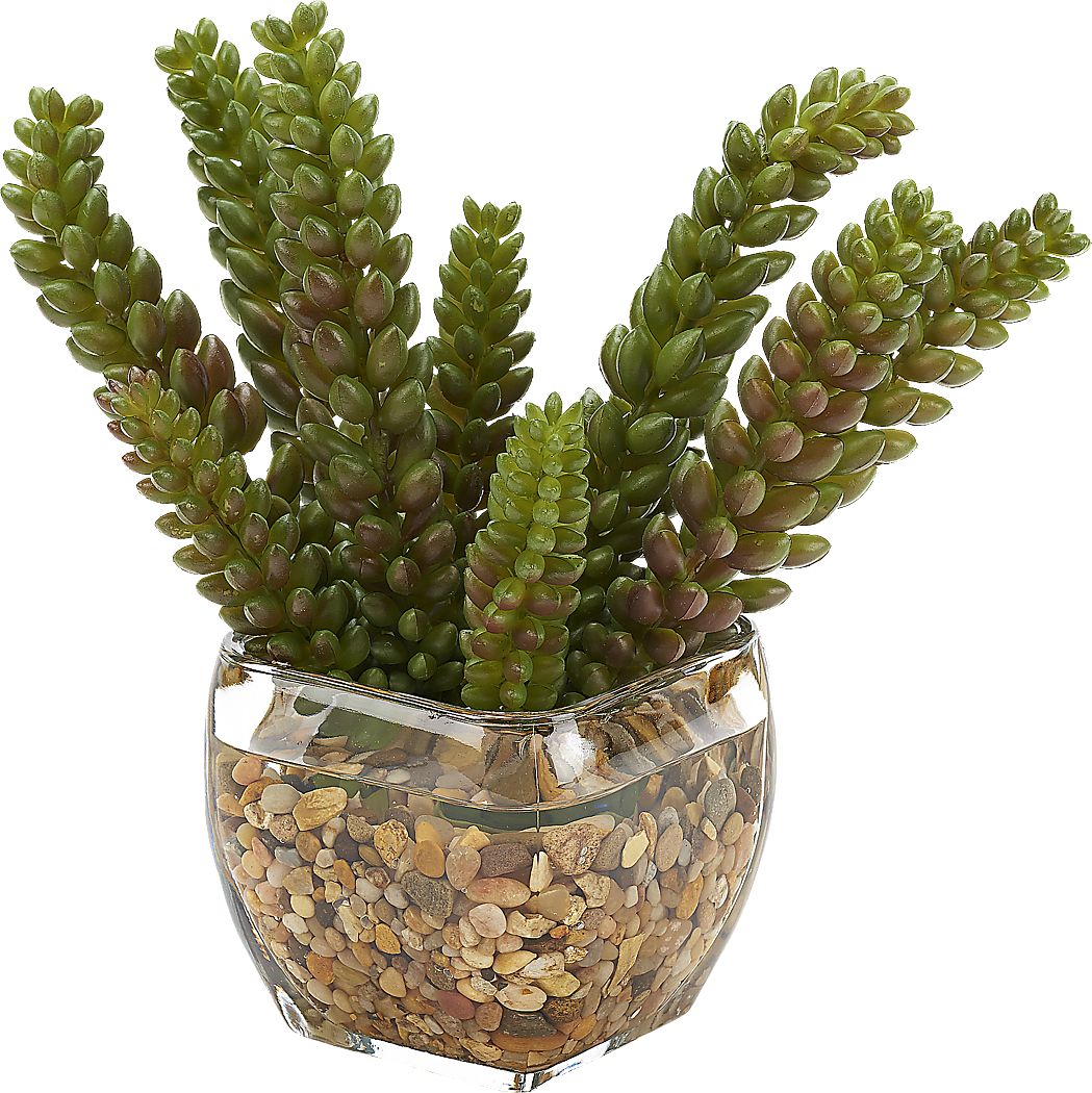 Rettering Glass Silk Plant