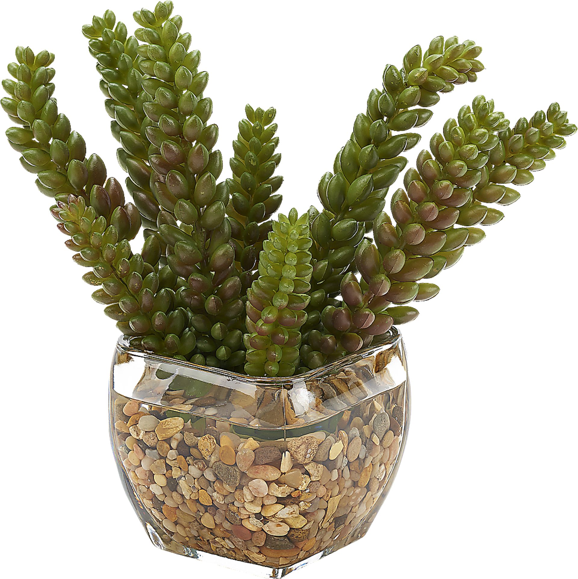 Rettering Glass Silk Plant - Image 1