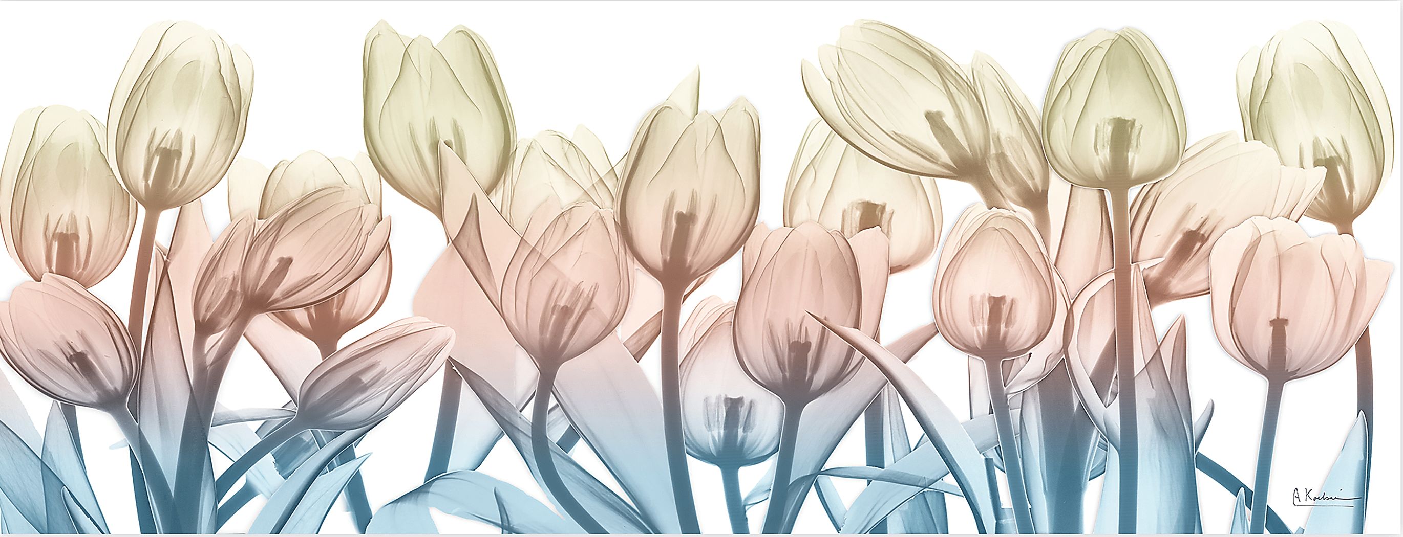 Rexview Blue Artwork