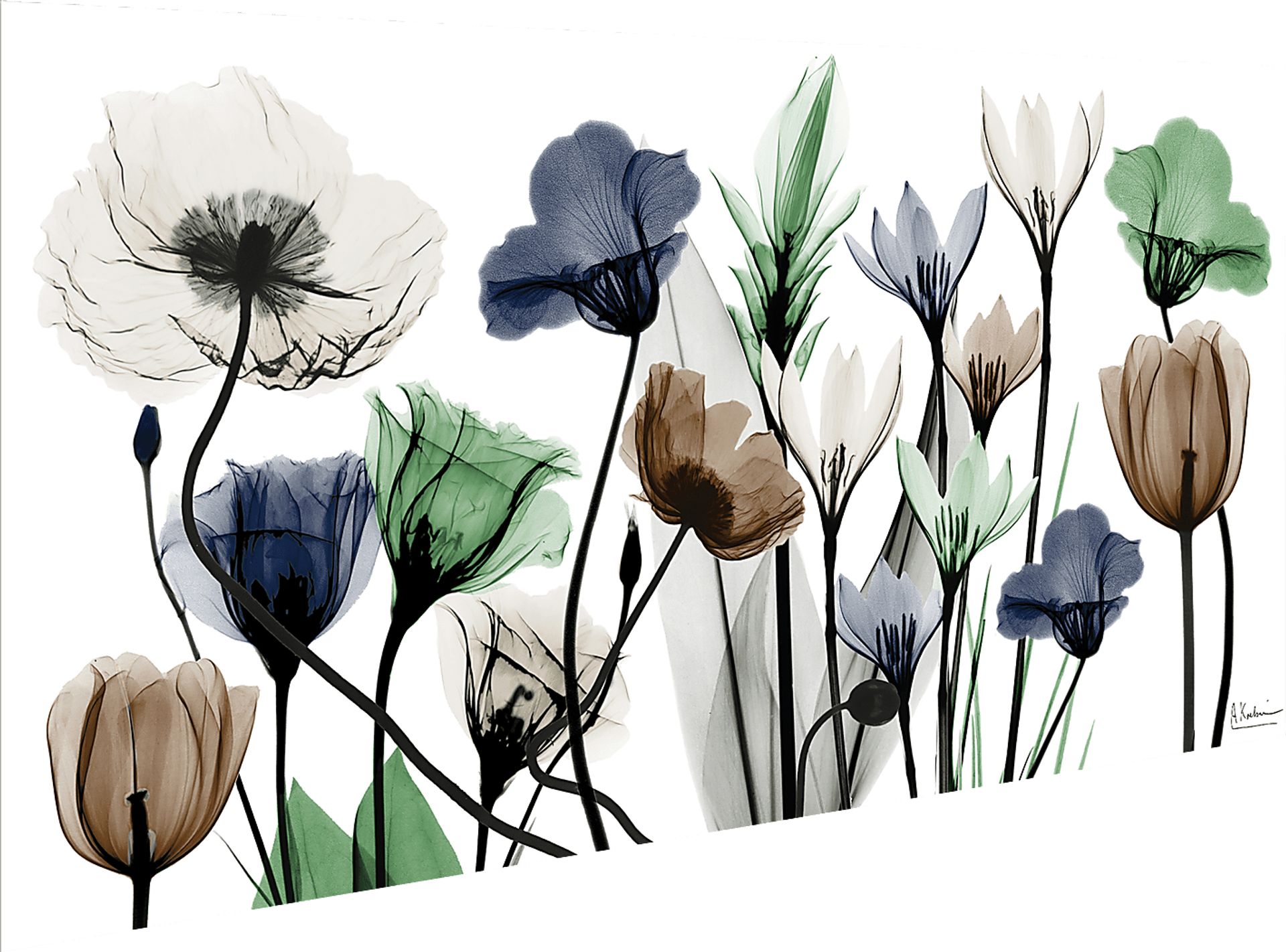 Rillito Multi Artwork - Image 6