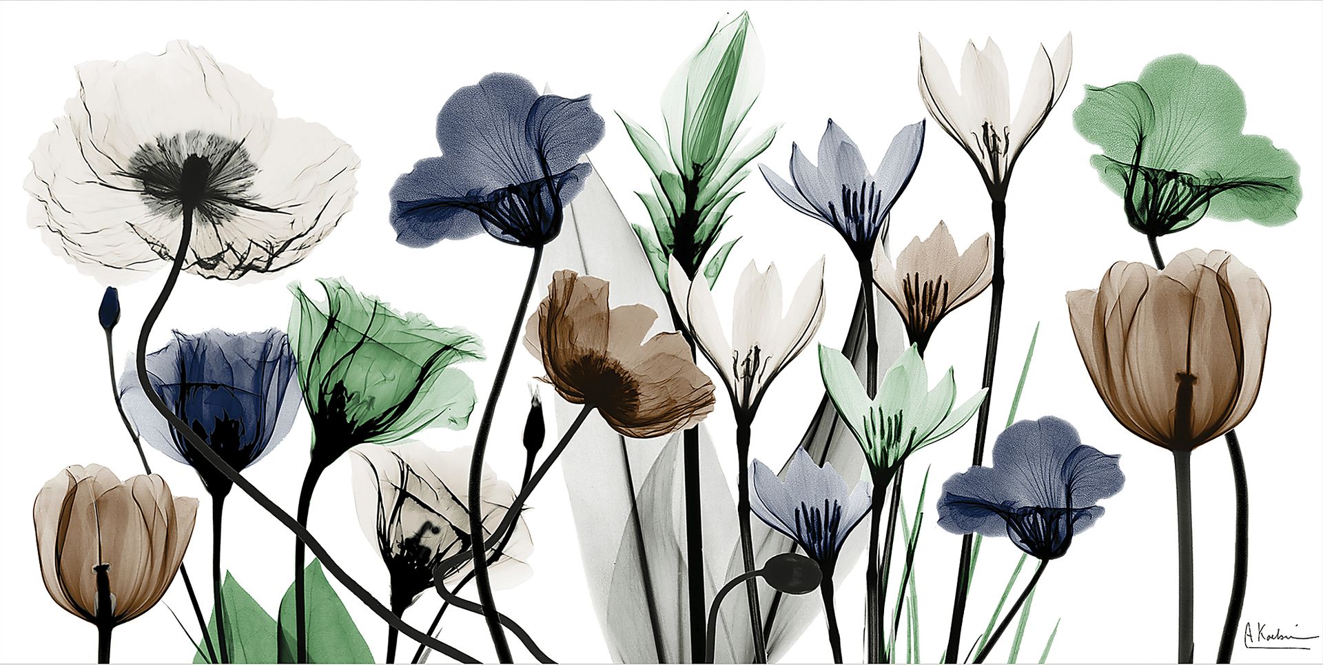 Rillito Multi Artwork - Image 1